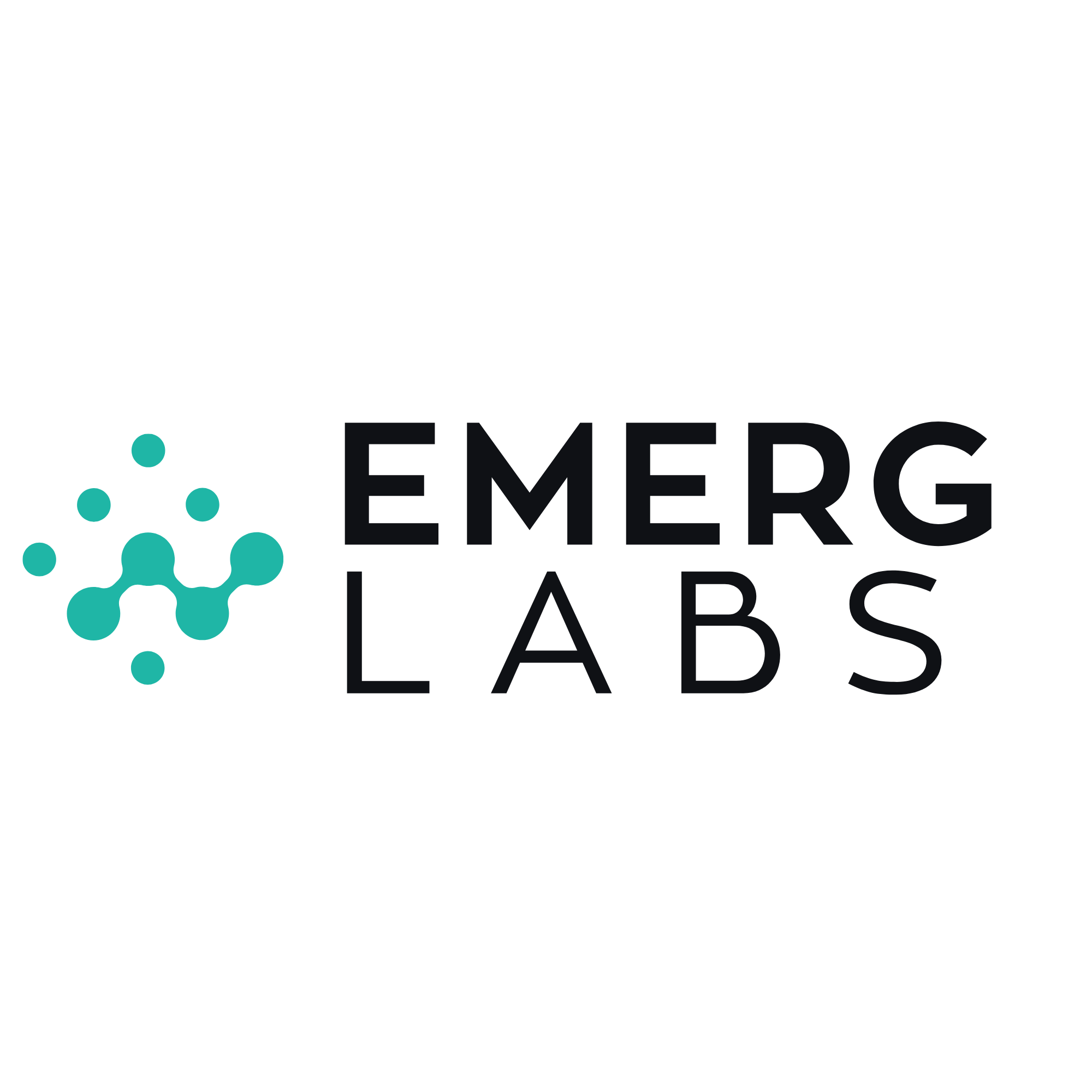 emerglabs.com